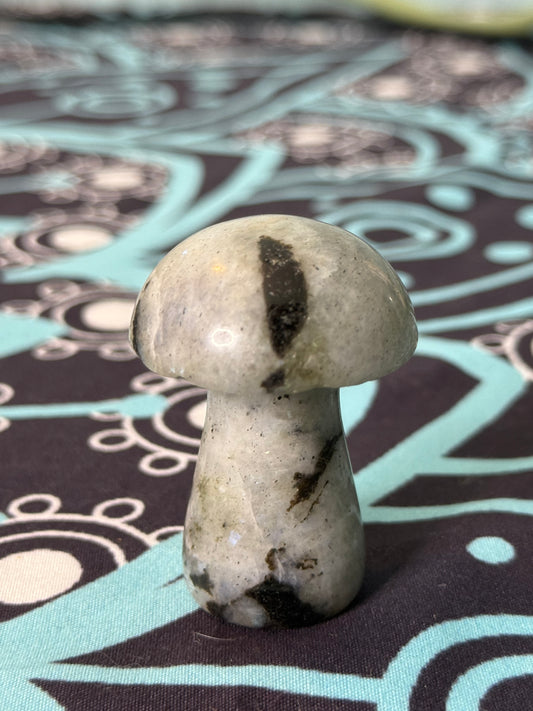 Labradorite Mushroom