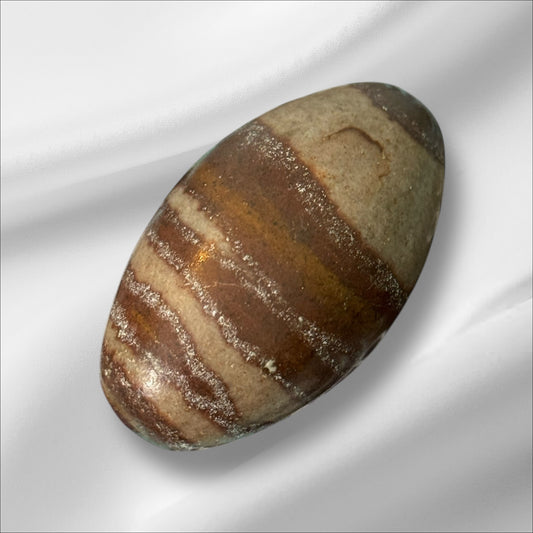 Shiva Palm