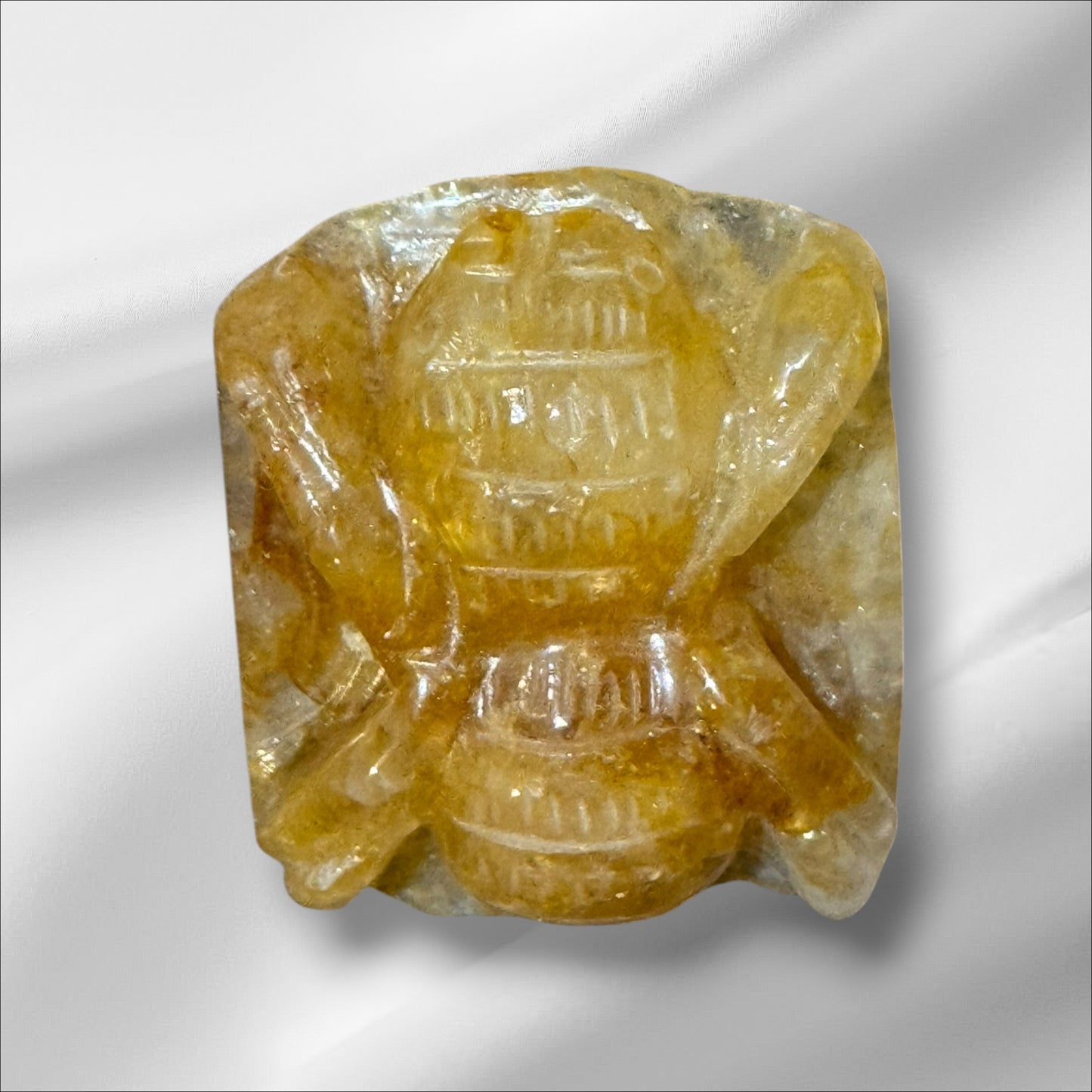 Golden Healer Spider