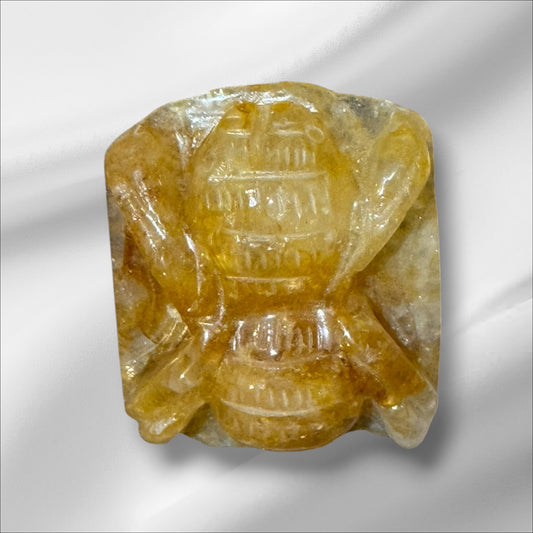 Golden Healer Spider