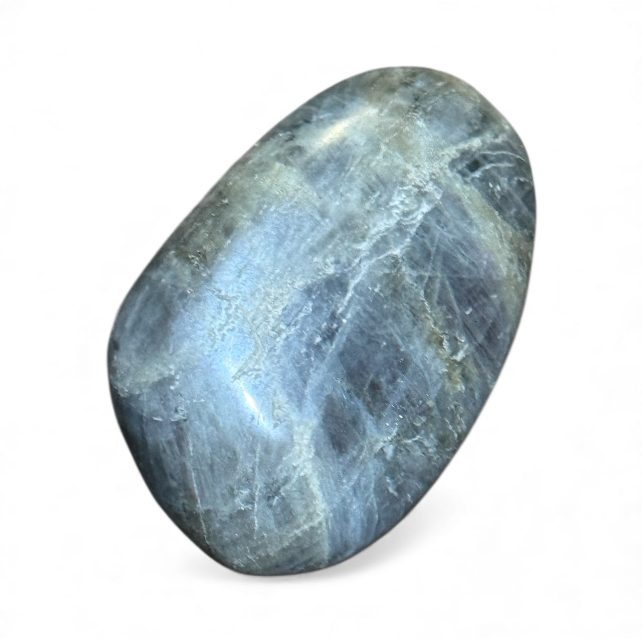 C12-29 Labradorite Palm