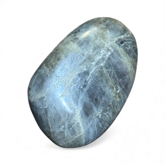 C12-29 Labradorite Palm