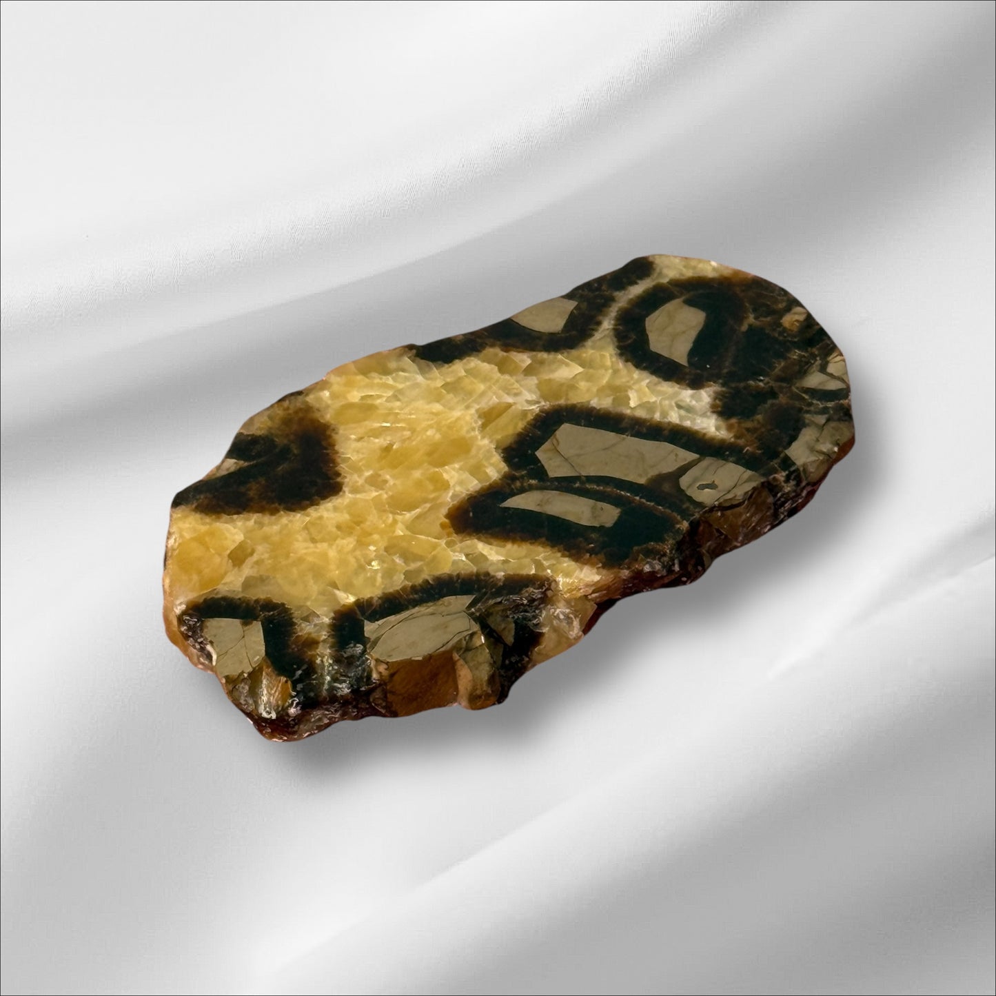 Septarian Slab UV+