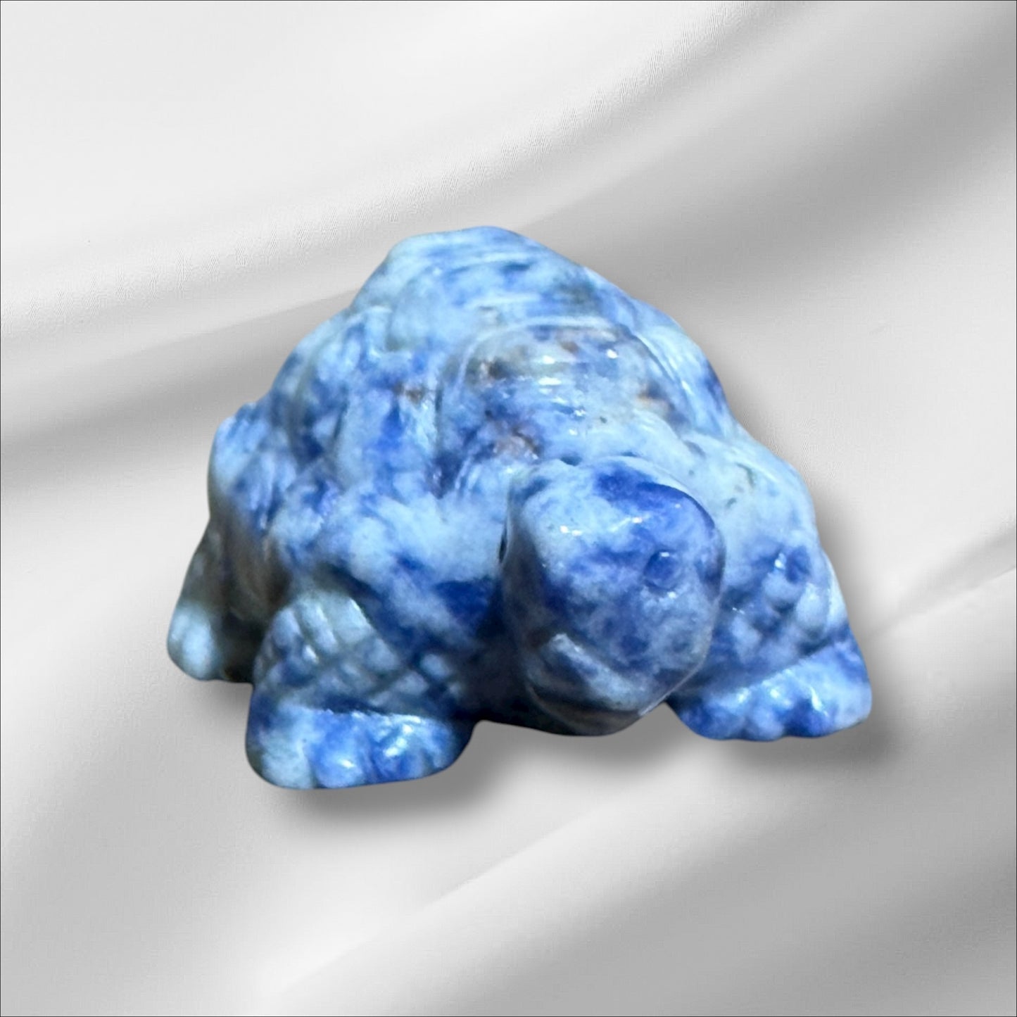 Blue Spotted Jasper Tortoise