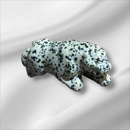 Dalmation Jasper Leopard