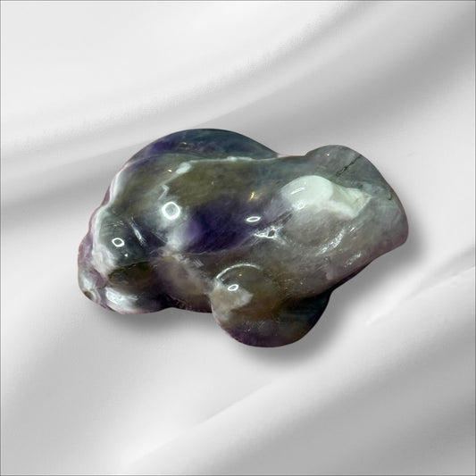 Amethyst Frog