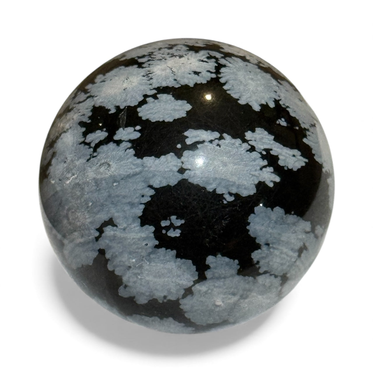 C12-9 Snowflake Obsidian
