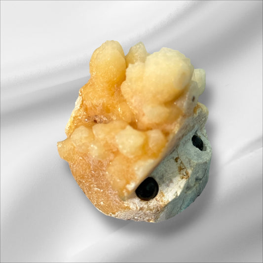 Stalactite Head