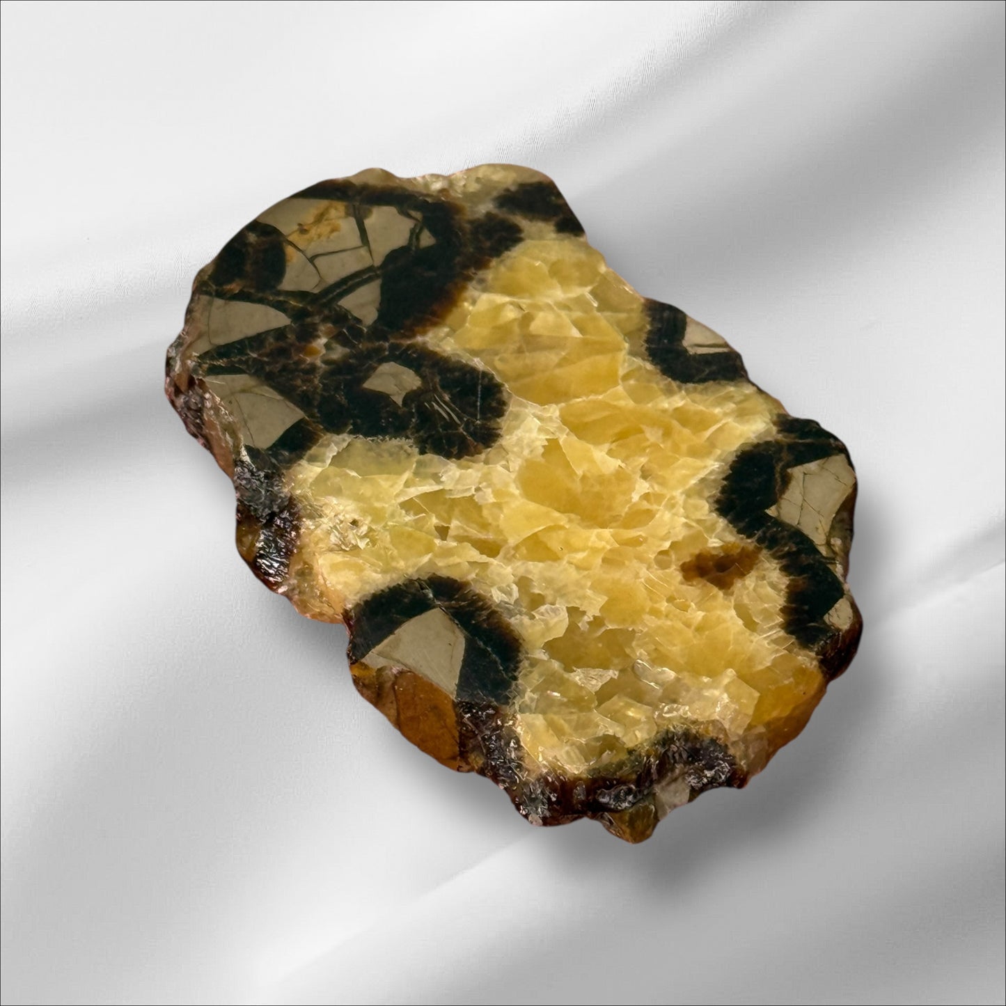 Septarian Slab UV+