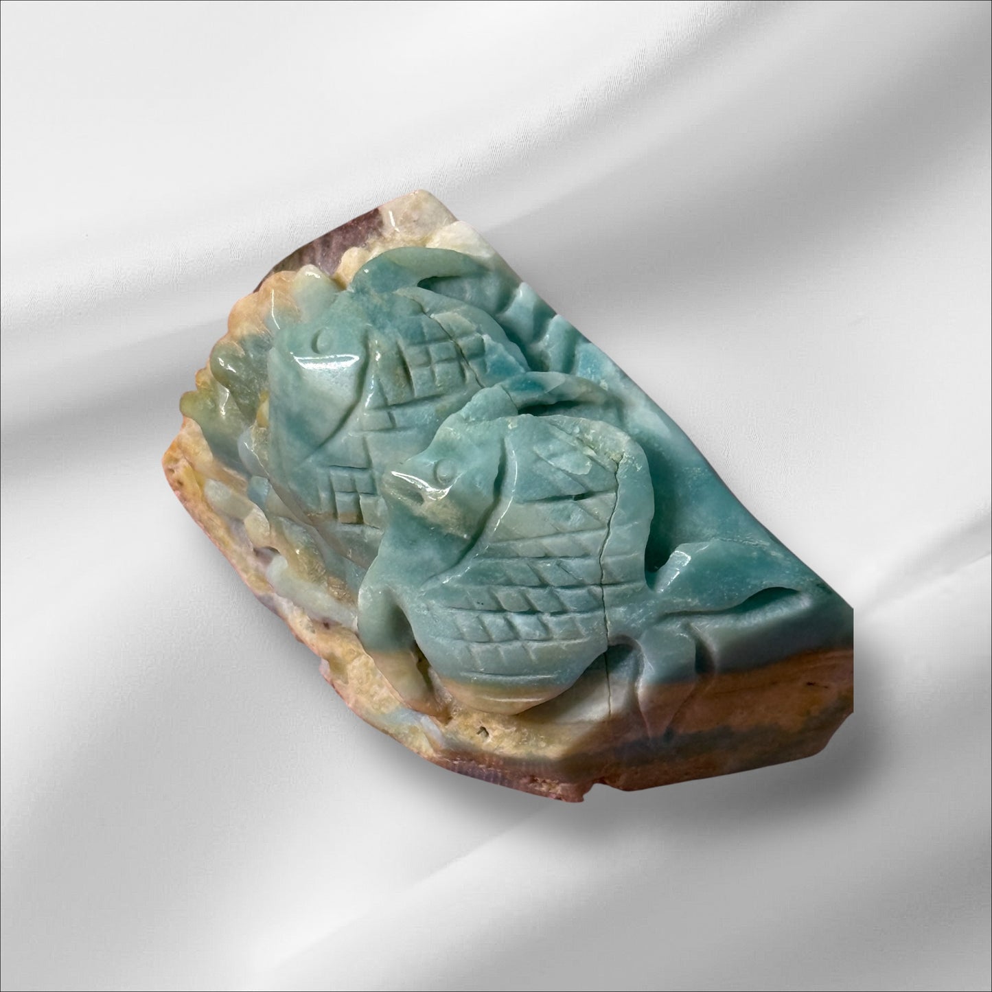 Caribbean Calcite Fish