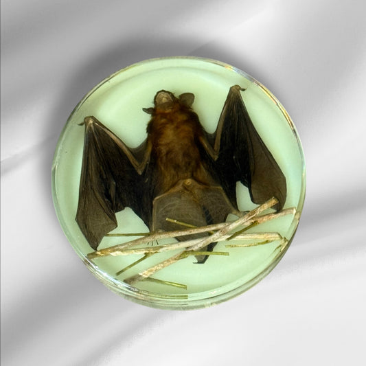 C12-75 Glow-in-the-Dark Resin Bat