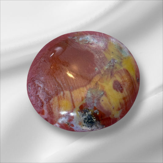 Ocean Jasper Palm