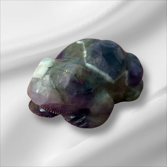 Amethyst Frog