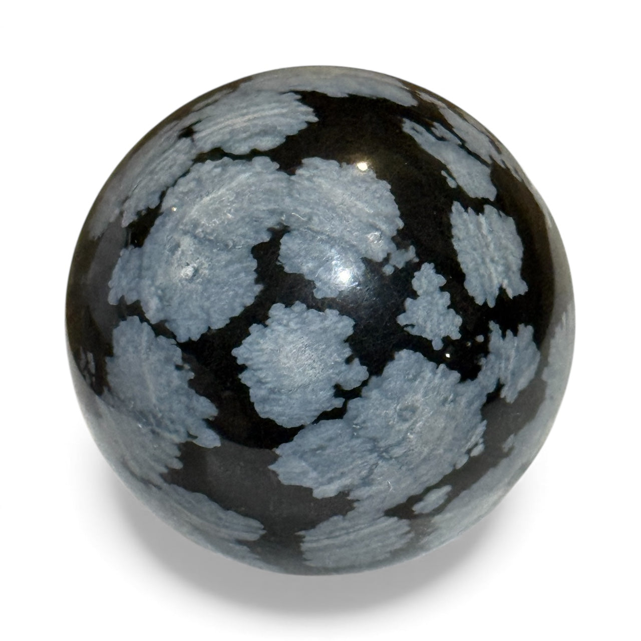 C12-9 Snowflake Obsidian