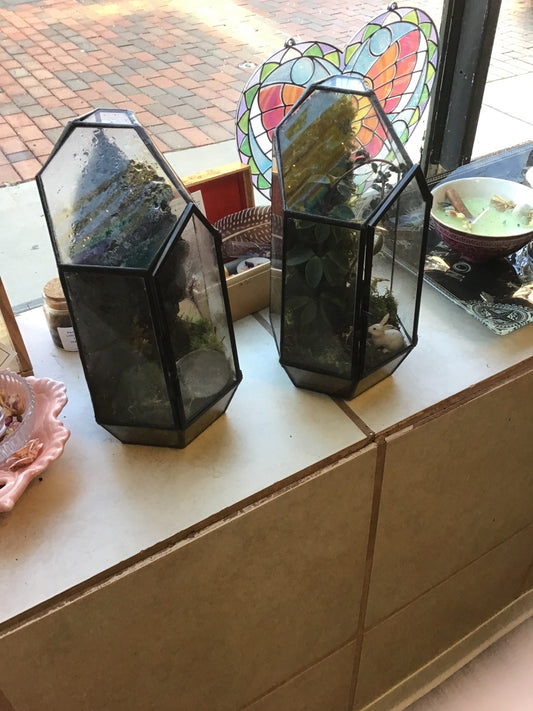 Terrarium $60 image 0