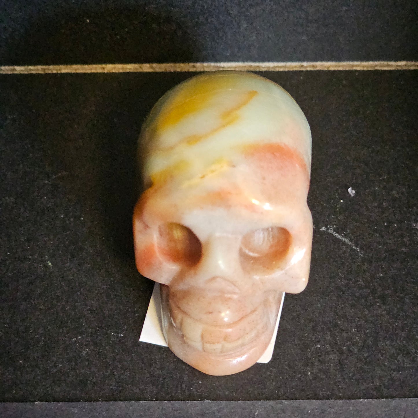 Caribbean Calcite Skull